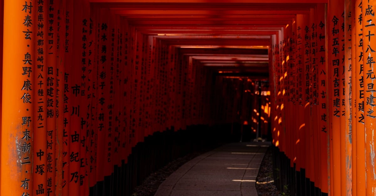 Gates of Olympus Super Scatter слот игра с инновационными функциями